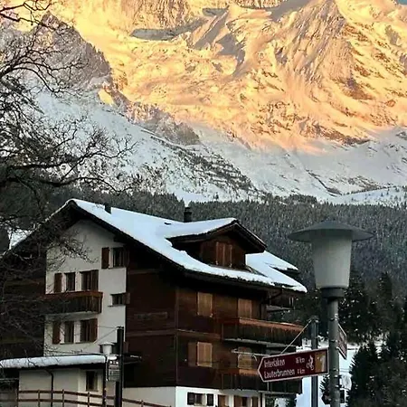 Cosy - * ヴェンゲン