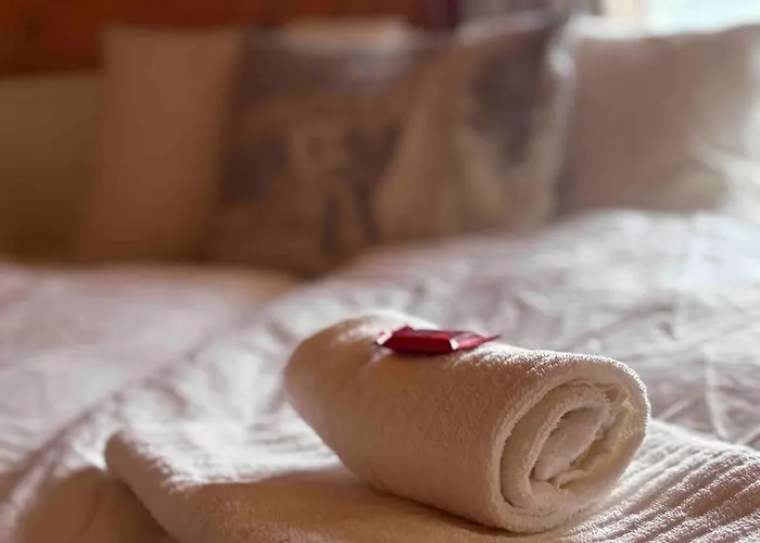 Апартаменты Cosy -